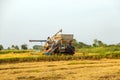 harvesters harvesting rice in fields Royalty Free Stock Photo