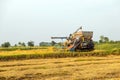 harvesters harvesting rice in fields Royalty Free Stock Photo