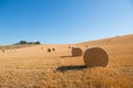 Harvestimg in Tuscany, Italy. Stacks of hay on summer field. Hay and straw bales in the end of summer Royalty Free Stock Photo