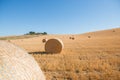 Harvestimg in Tuscany, Italy. Stacks of hay on summer field. Hay and straw bales in the end of summer Royalty Free Stock Photo
