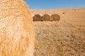 Harvestimg in Tuscany, Italy. Stacks of hay on summer field. Hay and straw bales in the end of summer Royalty Free Stock Photo