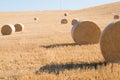 Harvestimg in Tuscany, Italy. Stacks of hay on summer field. Hay and straw bales Royalty Free Stock Photo