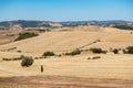 Harvestimg in Tuscany, Italy. Stacks of hay on summer field. Hay and straw bales