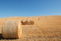 Harvestimg in Tuscany, Italy. Stacks of hay on summer field. Hay and straw, end of summer Royalty Free Stock Photo