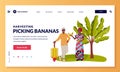 Harvesting and agriculture farming concept. African or indian man and woman picking ripe bananas. Vector illustration