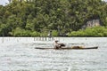 Harvesting algae in Indonesia, Asia Royalty Free Stock Photo