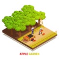 Harvesting Apples Isometric Composition