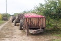 Harvesting of apples in the orchard. Containers with apples. Rustic style, selective focus.