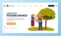 Harvesting and Asia agriculture farming concept. Asian man and woman picking ripe mango into basket. Vector illustration