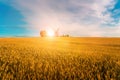 Windmill in wheat field in the evening Royalty Free Stock Photo