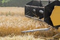Harvesting barley with combine harvester