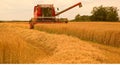 Harvesting Barley on a summer afternoon.