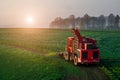 Harvesting beet harvester in the field early in the morning