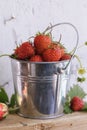 Bucket of freshly picked strawberries on a wooden table Royalty Free Stock Photo