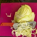 Harvesting cabbage for the winter. Food and drink