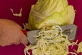 Harvesting cabbage for the winter.Shredder knife.