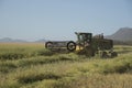 Harvesting Canola on a South African farm