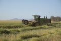 Harvesting Canola on a South African farm