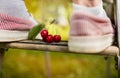 Harvesting cherries Royalty Free Stock Photo