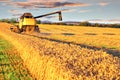 Harvesting combine in the wheat field