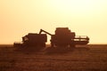 Harvesting by combines at sunset.