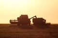 Harvesting by combines at sunset.