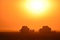 Harvesting by combines at sunset.