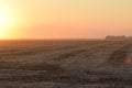 Harvesting by combines at sunset.