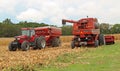 Harvesting Corn