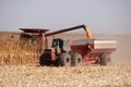 Harvesting Corn