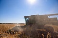 Harvesting corn field in autumn.Harvest working on corn field.