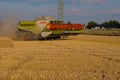 Harvesting corn grain