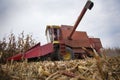 Harvesting corn maize Royalty Free Stock Photo