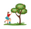 Harvesting. Cute woman gathering juicy fruits from tree. Mother and child pick red apples in garden, autumn rustic