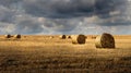 harvesting at the end of the season. Beautiful yellow shades in combination with a cloudy summer sky Royalty Free Stock Photo