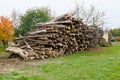 Harvesting firewood for the winter. Pile of stacked firewood prepared for heating the house in winter, chopped firewood on a stack
