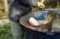 Harvesting of fish - closeup