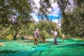 Harvested fresh olives in sacks in a field in Crete, Greece.