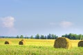 Harvesting on a golden wheat field. Bales of hay on the field. Royalty Free Stock Photo