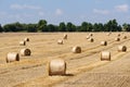 Harvesting grain crops