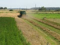 Harvesting grain crops in the field