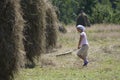 Harvesting grass. Woman gathering hay by a rake to stack it Royalty Free Stock Photo