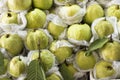 Harvesting Guayaba Guava Fruits in Fruit Shop