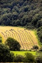 Harvesting hay in Mountain Pyrenees Royalty Free Stock Photo