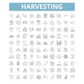 Harvesting icons, line symbols, web signs, vector set, isolated illustration Royalty Free Stock Photo