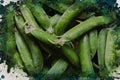 Harvesting legumes. Green pea pods. A group of ripe fresh legumes