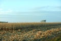 Harvesting maize during a fall evening