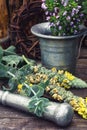 Harvesting of medicinal herbs