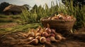 Harvesting onions in a basket, close-up.Generative AI