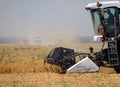 Harvesting peas with a combine harvester. Harvesting peas from the fields.